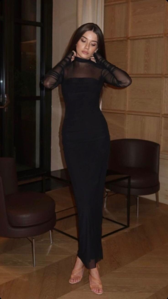Elegant Black Sheer-Sleeved Maxi Dress